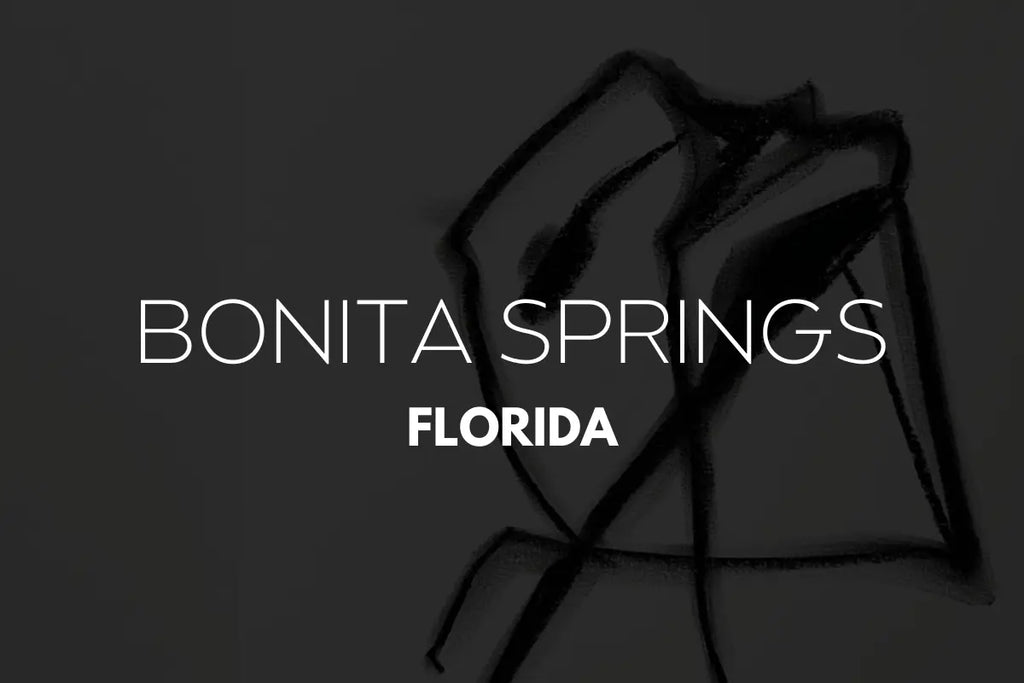 BONITA SPRINGS ART FESTIVAL 2024